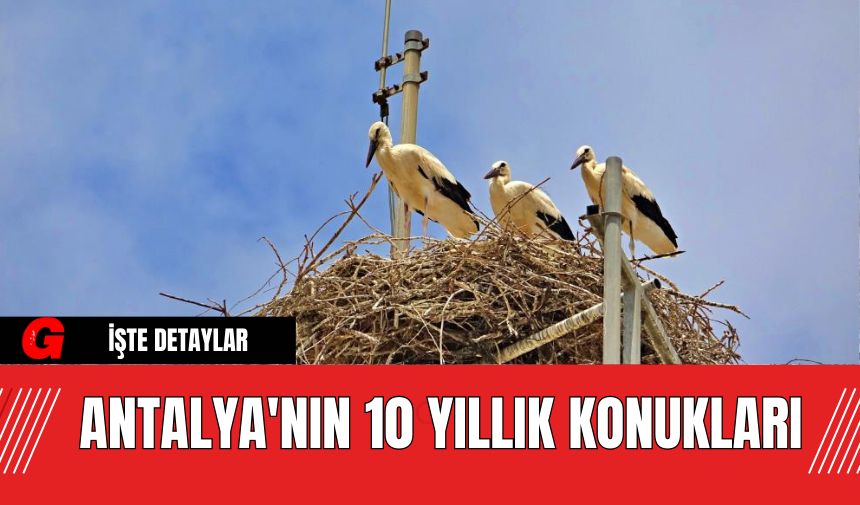 Antalya'nın 10 Yıllık Konukları