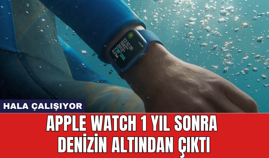 Apple Watch 1 yıl sonra denizin altından çıktı: Hala çalışıyor