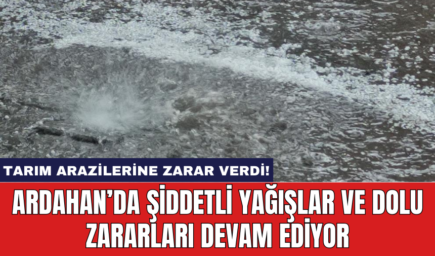 Ardahan’da şiddetli yağışlar ve dolu zararları devam ediyor