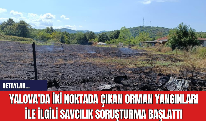 Yalova’da iki noktada çıkan orman yangınları ile ilgili savcılık soruşturma başlattı