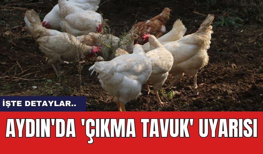 Aydın'da 'çıkma tavuk' uyarısı