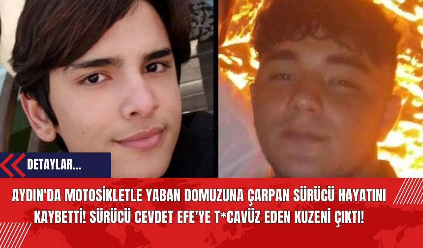 Aydın'da Motosikletle Yaban Domuzuna Çarpan Sürücü Hayatını Kaybetti! Sürücü Cevdet Efe'ye T*cavüz Eden Kuzeni Çıktı!