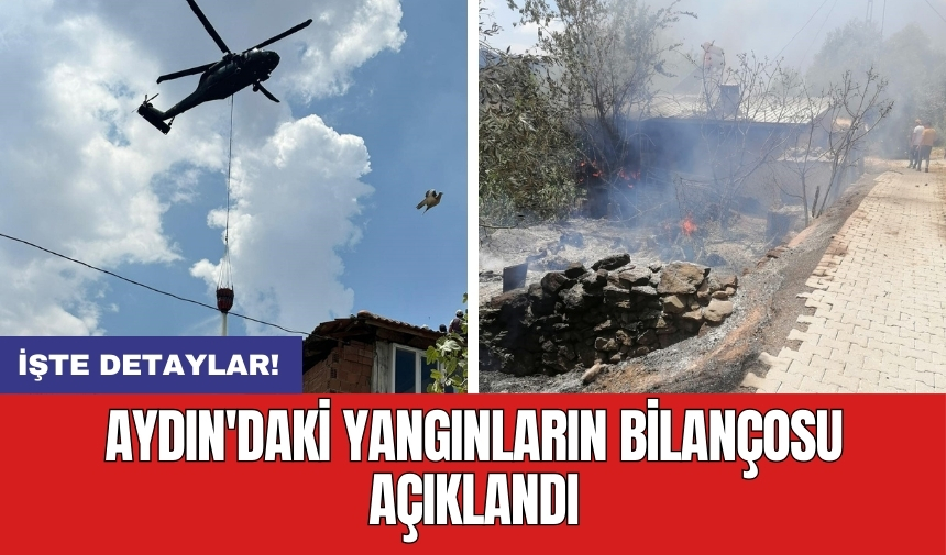 Aydın'daki yangınların bilançosu açıklandı