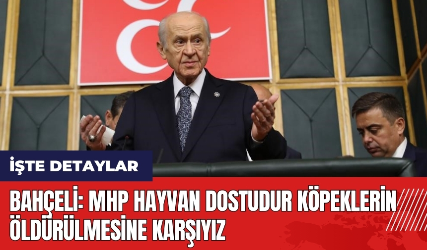 Bahçeli: MHP hayvan dostudur köpeklerin öldürülmesine karşıyız