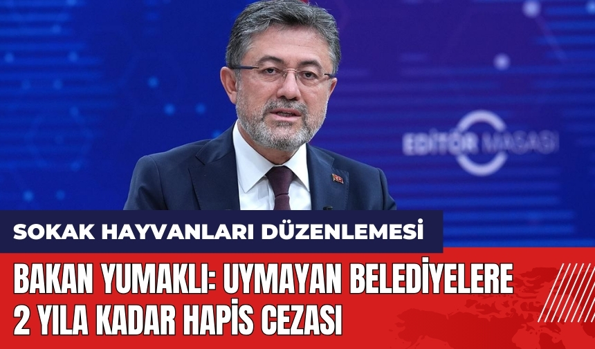 Sokak hayvanları düzenlemesi: Bakan Yumaklı: Uymayan belediyelere 2 yıla kadar hapis cezası