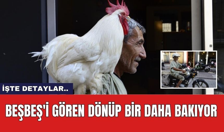 Beşbeş'i gören dönüp bir daha bakıyor