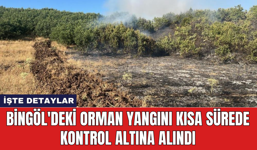 Bingöl'deki orman yangını kısa sürede kontrol altına alındı