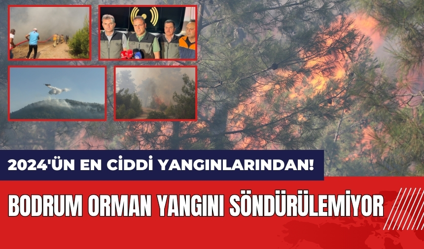 Bodrum'da orman yangını: 2024'ün en ciddi yangınlarından!