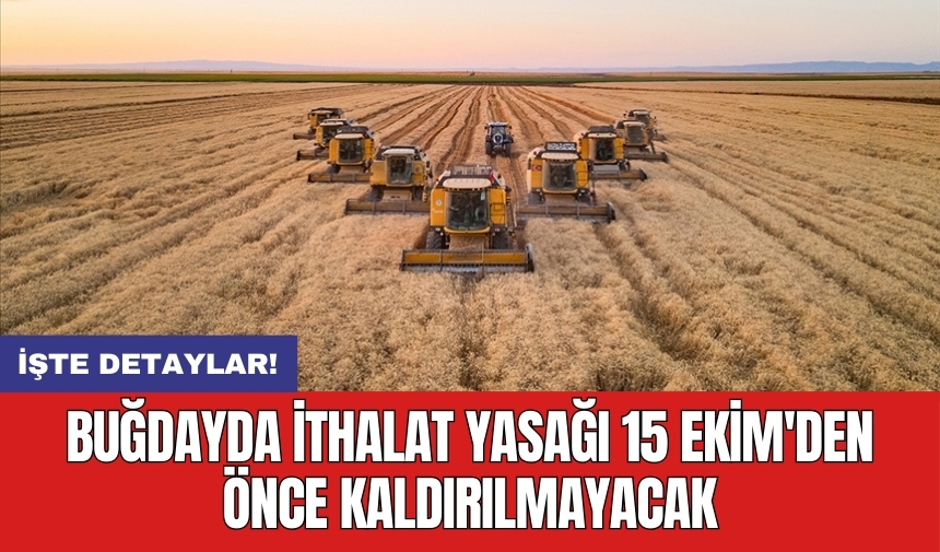 Buğdayda ithalat yasağı 15 Ekim'den önce kaldırılmayacak