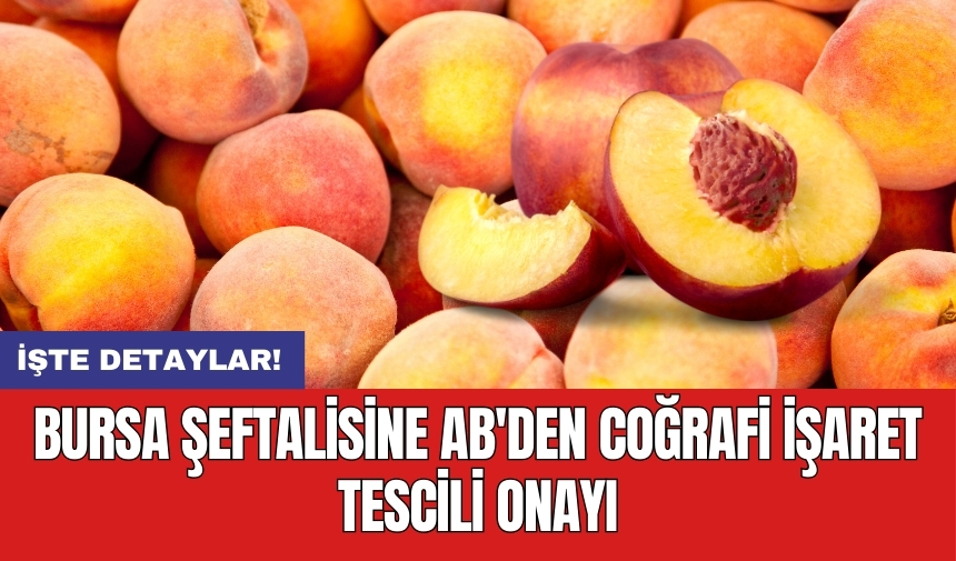 Bursa Şeftalisine AB'den Coğrafi İşaret Tescili Onayı