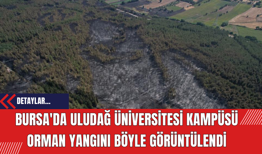 Bursa'da Uludağ Üniversitesi Kampüsü Orman Yangını Böyle Görüntülendi