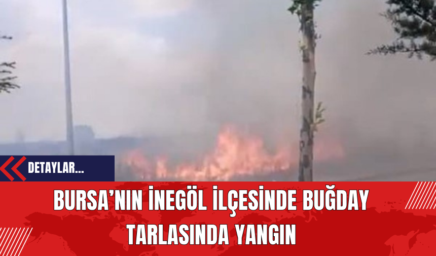 Bursa’nın İnegöl İlçesinde Buğday Tarlasında Yangın