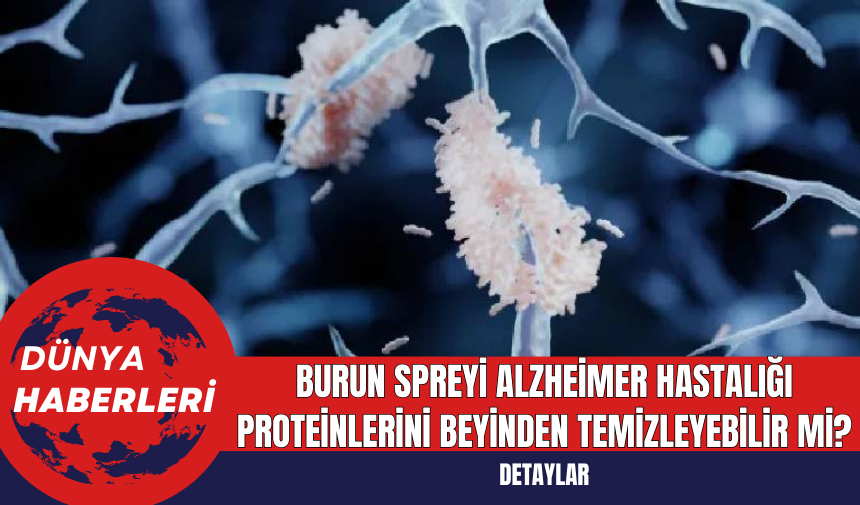 Burun Spreyi Alzheimer Hastalığı Proteinlerini Beyinden Temizleyebilir mi?