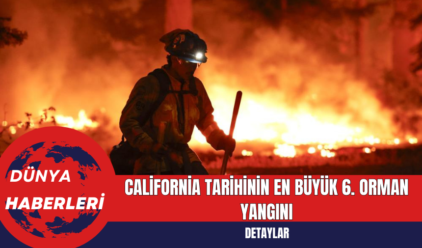 California Tarihinin En Büyük 6. Orman Yangını