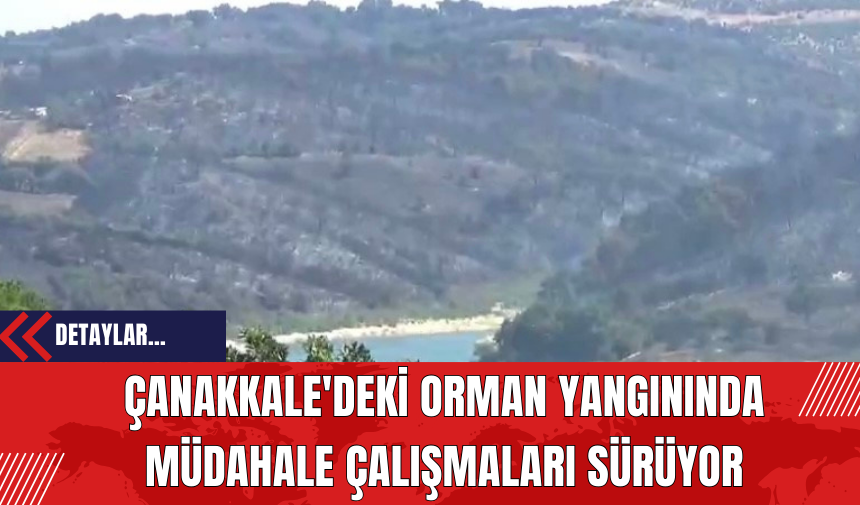 Çanakkale'deki Orman Yangınında Müdahale Çalışmaları Sürüyor