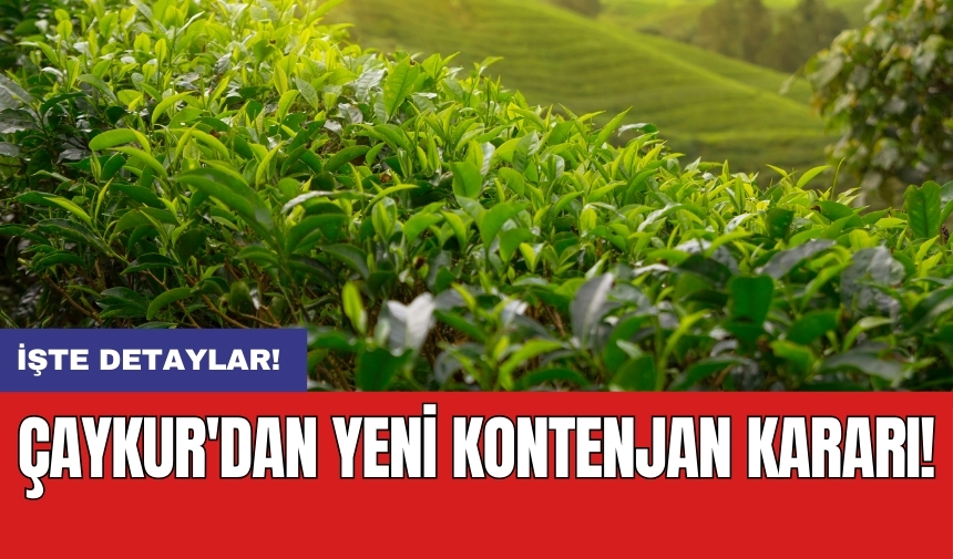 ÇAYKUR'dan yeni kontenjan kararı!