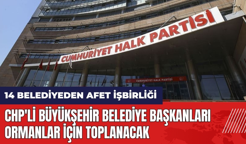 CHP'li Büyükşehir Belediye Başkanları ormanlar için toplanacak