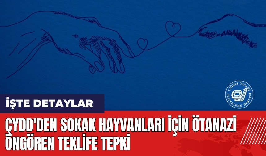 ÇYDD'den sokak hayvanları için ötanazi öngören teklife tepki