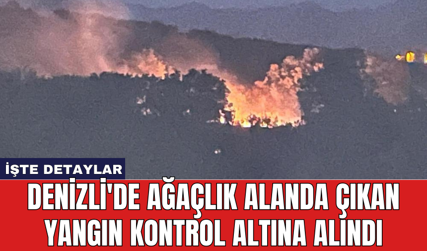 Denizli'de ağaçlık alanda çıkan yangın kontrol altına alındı