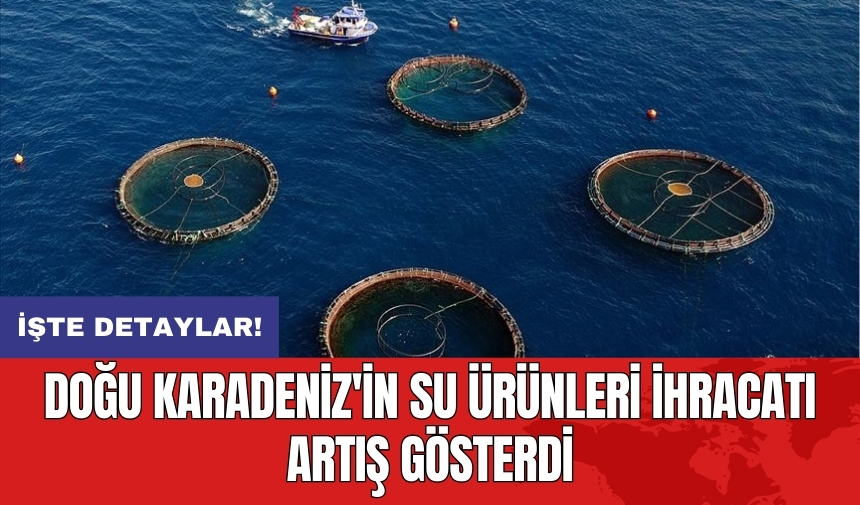 Doğu Karadeniz'in su ürünleri ihracatı artış gösterdi