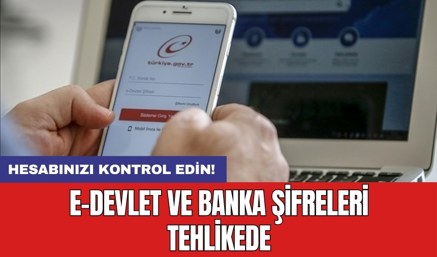 e-Devlet ve banka şifreleri tehlikede: Hesabınızı kontrol edin!