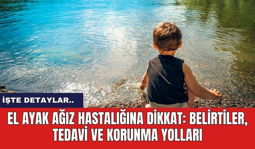 El Ayak Ağız Hastalığına Dikkat: Belirtiler, Tedavi ve Korunma Yolları