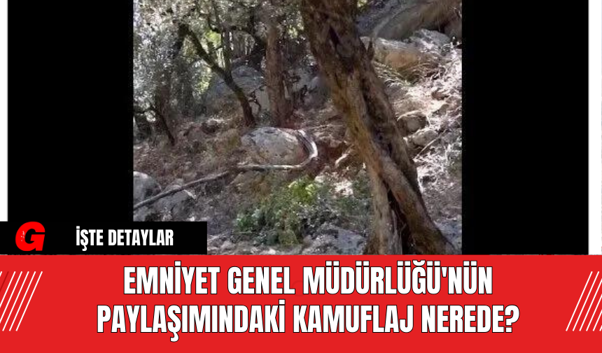 Emniyet Genel Müdürlüğü'nün Paylaşımındaki Kamuflaj Nerede?