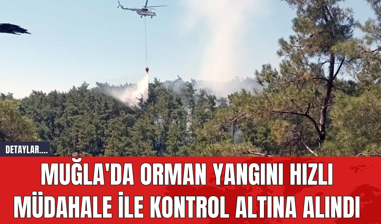 Muğla'da Orman Yangını Hızlı Müdahale İle Kontrol Altına Alındı