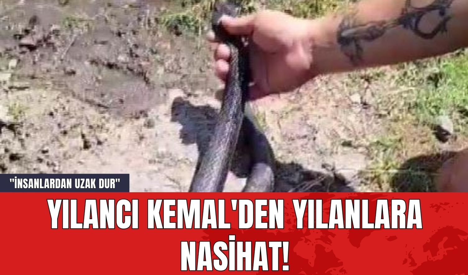 Yılancı Kemal'den Yılanlara Nasihat! "İnsanlardan Uzak Dur"