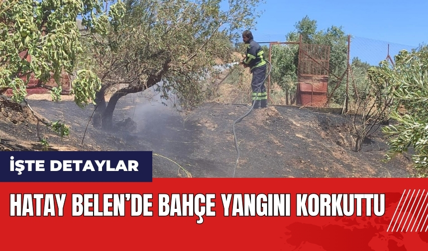 Hatay Belen'de bahçe yangını korkuttu