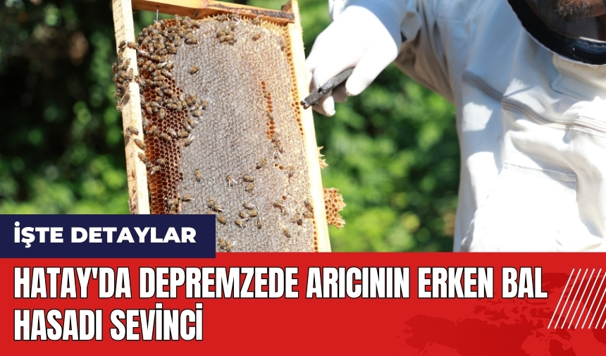 Hatay'da depremzede arıcının erken bal hasadı sevinci