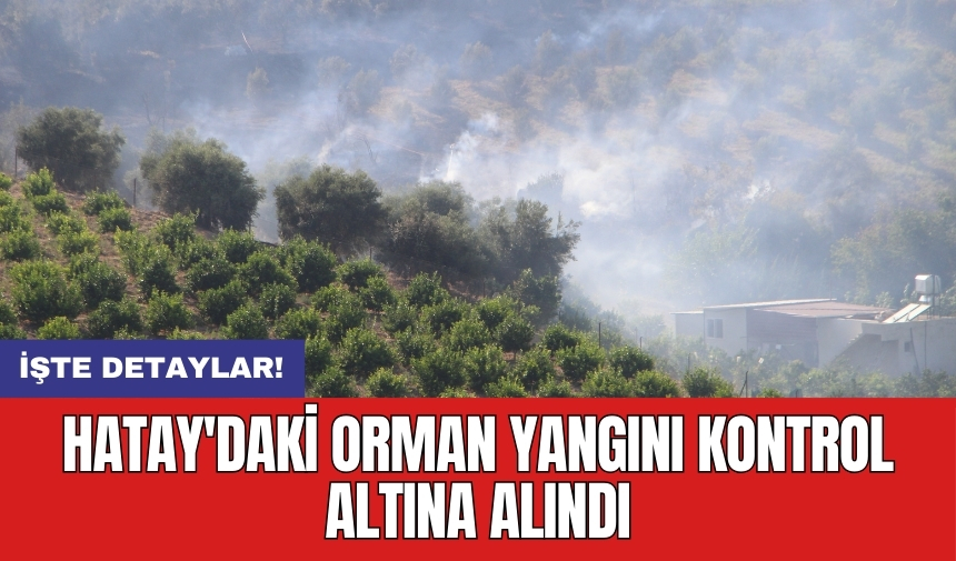 Hatay'daki orman yangını kontrol altına alındı