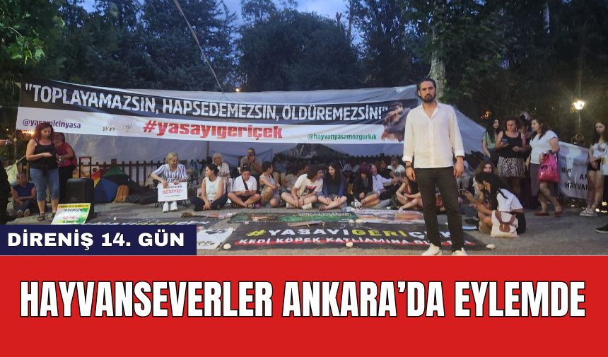 Hayvanseverler Ankara’da eylemde