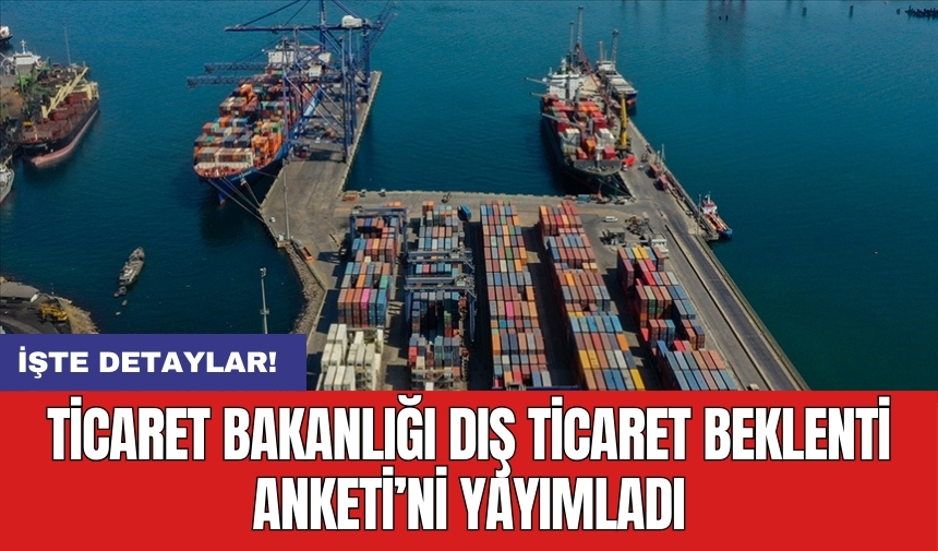 Ticaret Bakanlığı 'Dış Ticaret Beklenti Anketi'ni yayımladı