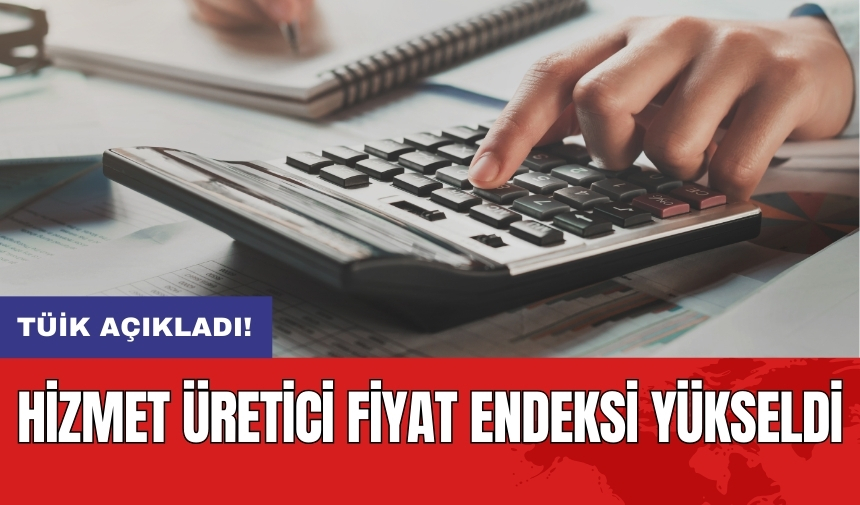 Hizmet Üretici Fiyat Endeksi yükseldi