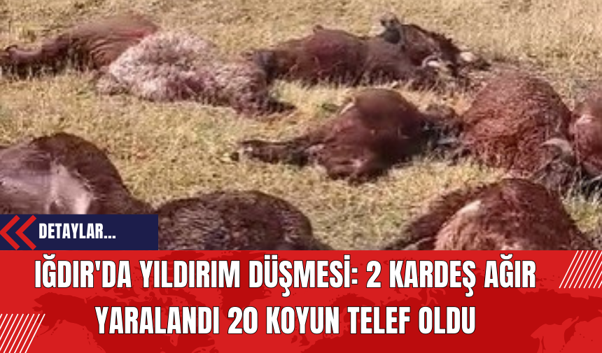 Iğdır'da Yıldırım Düşmesi: 2 Kardeş Ağır Yaralandı 20 Koyun Telef Oldu