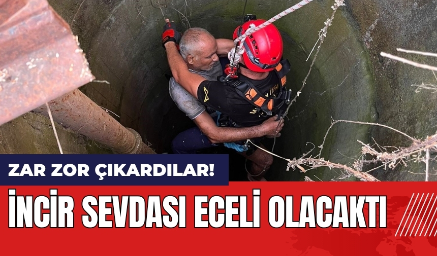 İncir sevdası eceli olacaktı!