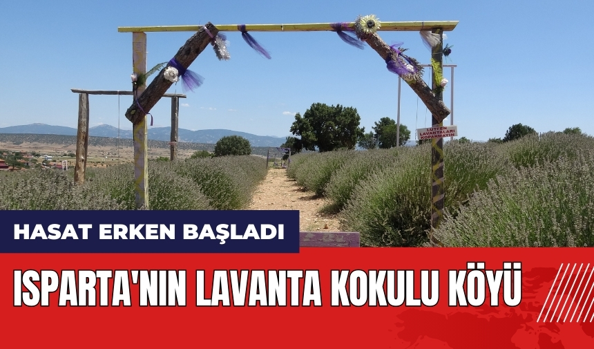 Isparta'nın lavanta kokulu köyü