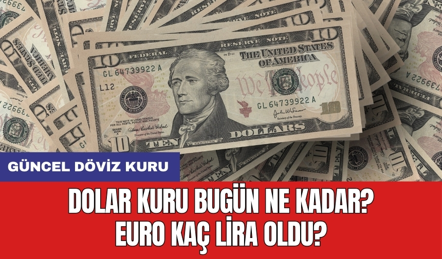 Dolar ne kadar oldu? Euro ne kadar? 13 Ağustos 2024 Salı