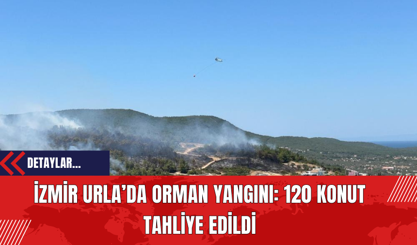 İzmir Urla’da Orman Yangını: 120 Konut Tahliye Edildi