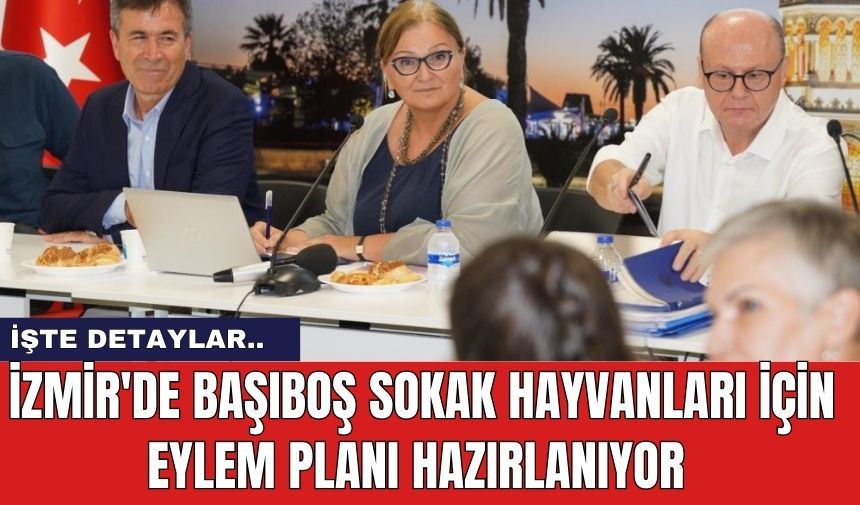 İzmir'de başıboş sokak hayvanları için eylem planı hazırlanıyor