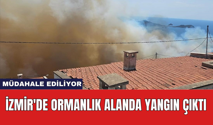 İzmir'de ormanlık alanda yangın çıktı: Müdahale ediliyor