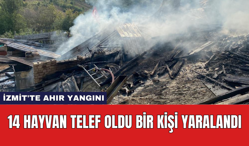 İzmit'te ahır yangını: 14 hayvan telef oldu bir kişi yaralandı