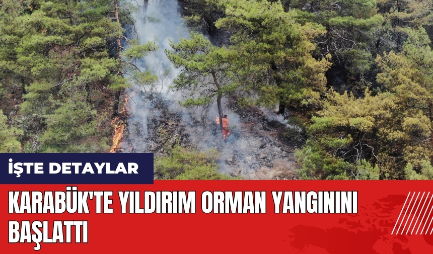 Karabük'te yıldırım orman yangınını başlattı