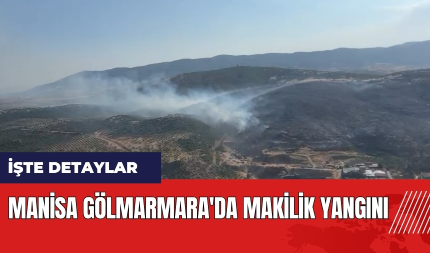 Manisa Gölmarmara'da makilik yangını