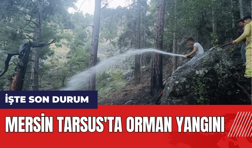 Mersin Tarsus'ta orman yangını