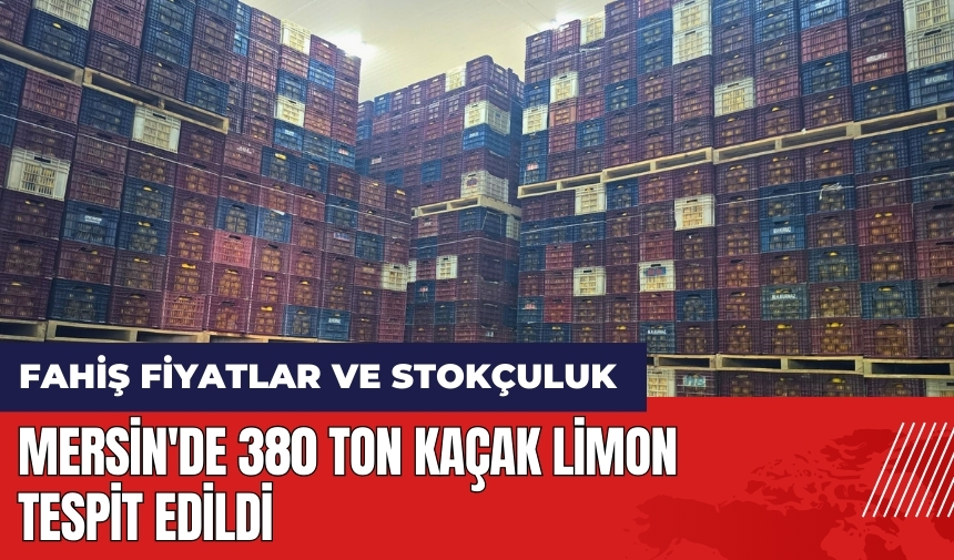 Mersin'de 380 ton kaçak limon tespit edildi