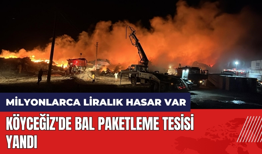 Köyceğiz'de bal paketleme tesisi yandı!