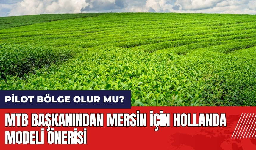 MTB Başkanından Mersin için Hollanda modeli önerisi