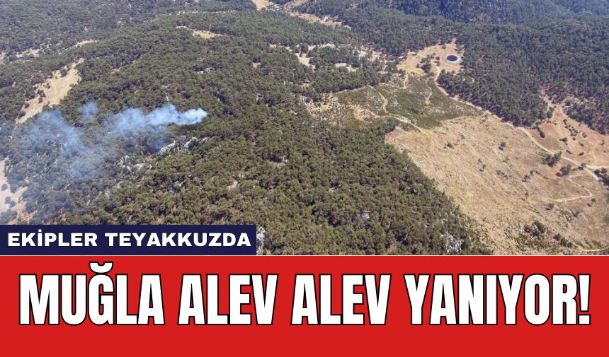 Muğla Alev Alev Yanıyor! Ekipler Teyakkuzda